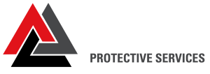 Professional On-Site Security Services Viking PS logo final WT