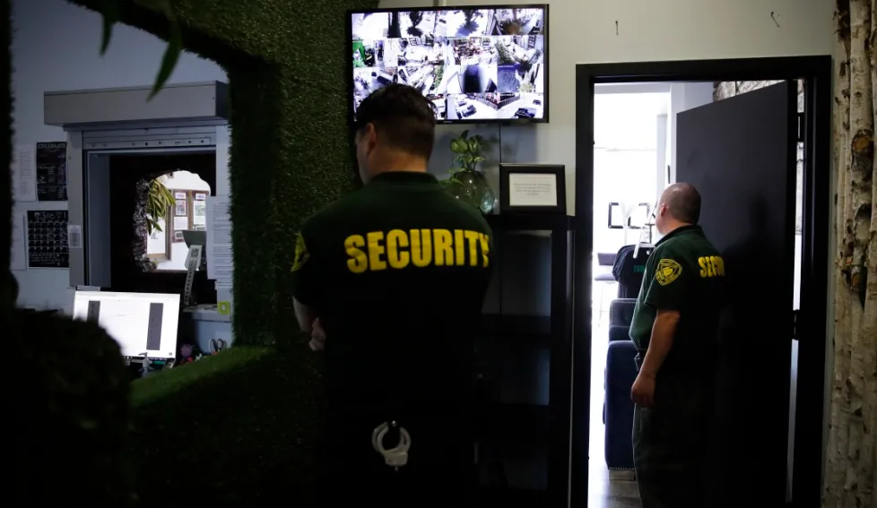Cannabis Store Security 
